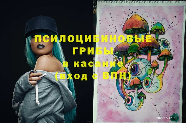 шишки Богданович