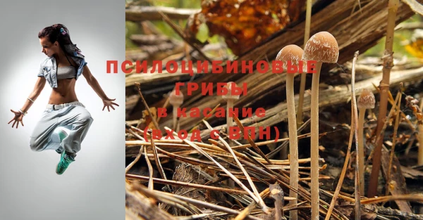 шишки Богданович