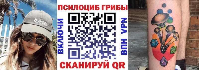 ОМГ ОМГ онион Юрга Галлюциногенные грибы Magic Shrooms закладка