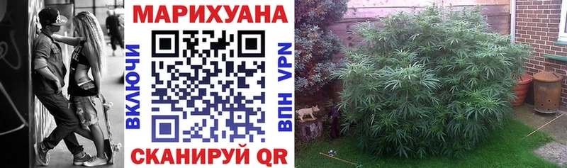Каннабис White Widow  Юрга 
